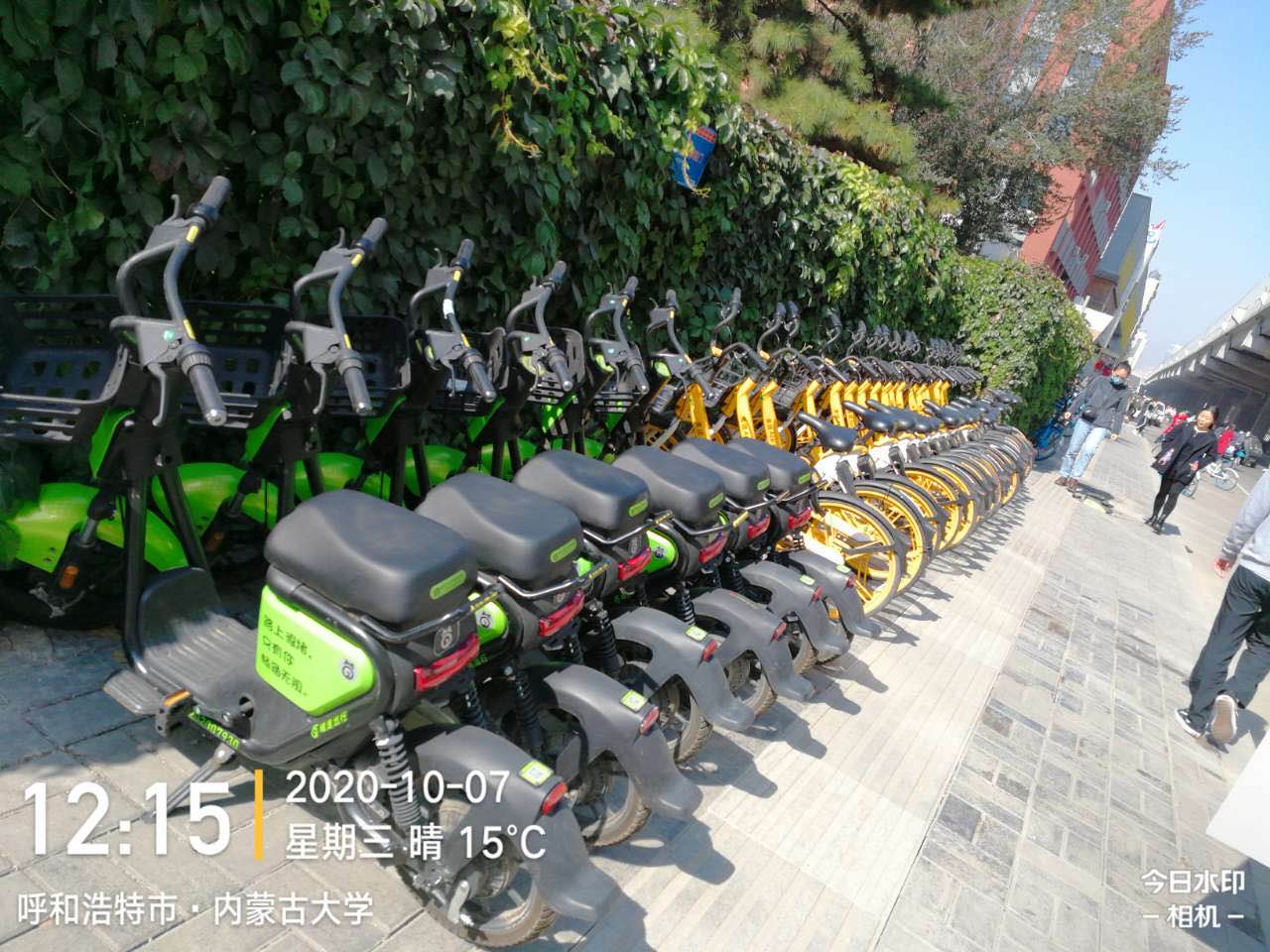 共享單車下載很簡單，不同品牌區別大嗎?